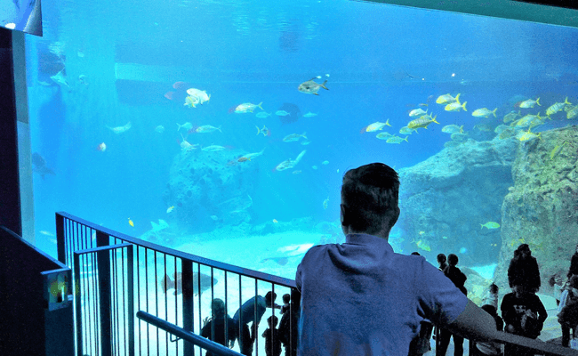 Den Blaa Center Copenhagen